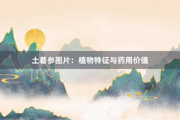 土着参图片：植物特征与药用价值